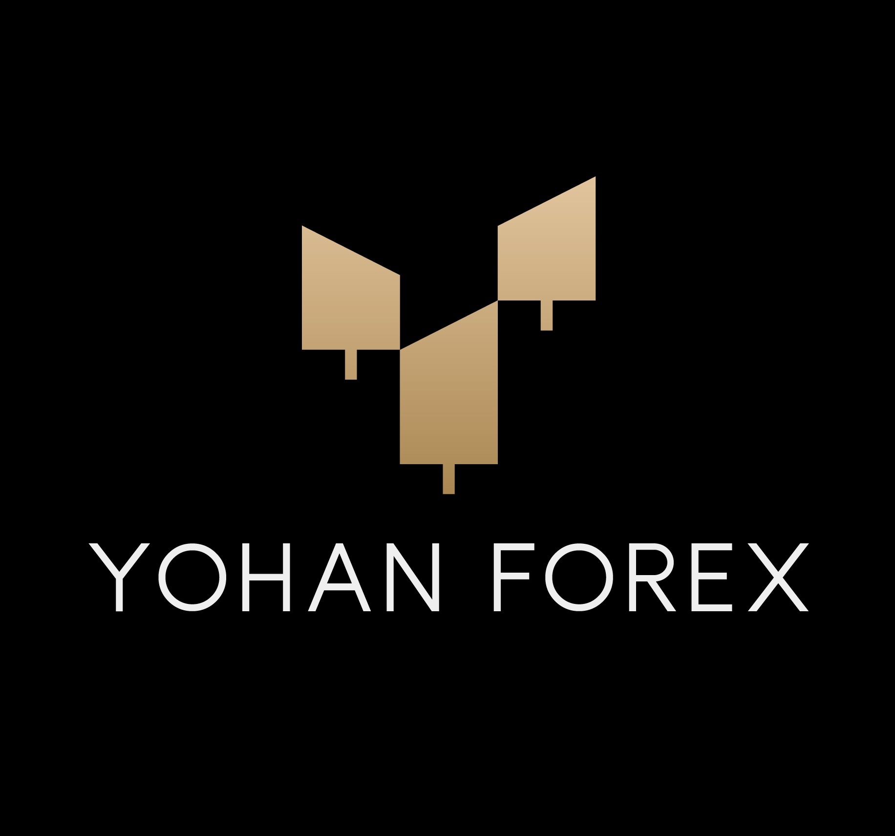 1 on 1 coaching session